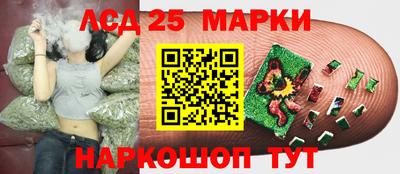 гидра Краснодар