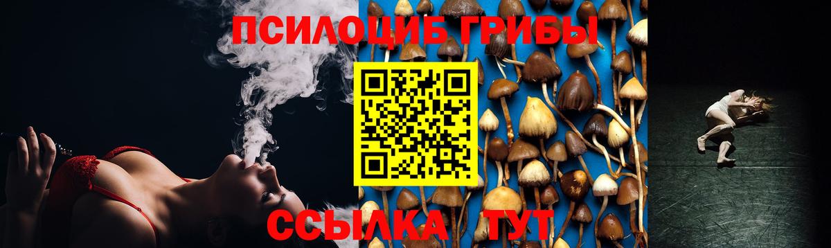 Псилоцибиновые грибы MAGIC MUSHROOMS  Вход с VPN  Уварово 